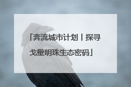 奔流城市计划丨探寻戈壁明珠生态密码