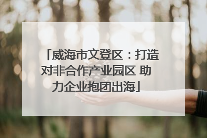 威海市文登区：打造对非合作产业园区 助力企业抱团出海