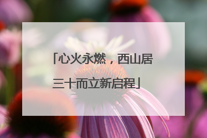 心火永燃，西山居三十而立新启程