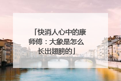 快消人心中的康师傅：大象是怎么长出翅膀的