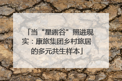 当“星露谷”照进现实：康旅集团乡村旅居的多元共生样本