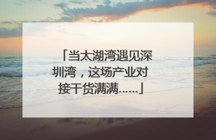 当太湖湾遇见深圳湾，这场产业对接干货满满……