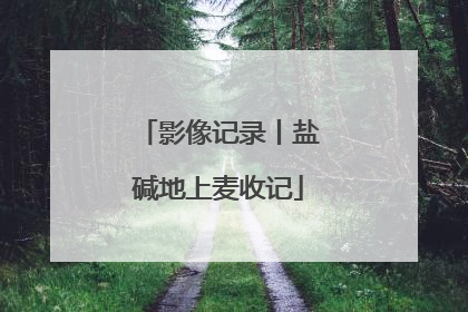 影像记录丨盐碱地上麦收记