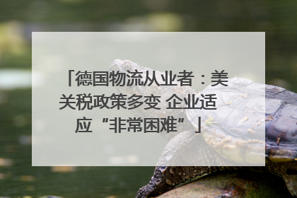 德国物流从业者：美关税政策多变 企业适应“非常困难”