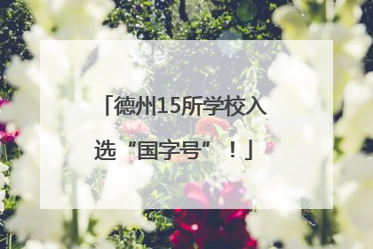 德州15所学校入选“国字号”！