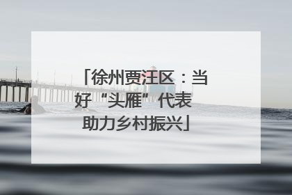 徐州贾汪区：当好“头雁”代表 助力乡村振兴