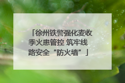 徐州铁警强化麦收季火患管控 筑牢线路安全“防火墙”