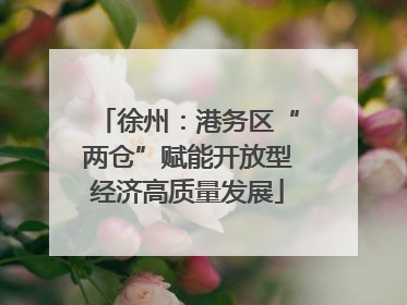 徐州：港务区“两仓”赋能开放型经济高质量发展
