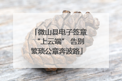 微山县电子签章“上云端” 告别繁琐公章奔波路
