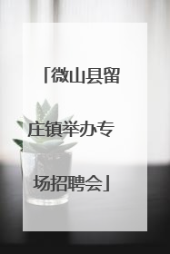 微山县留庄镇举办专场招聘会