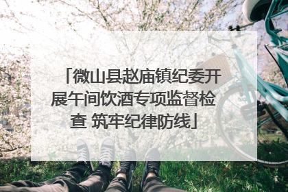 微山县赵庙镇纪委开展午间饮酒专项监督检查 筑牢纪律防线