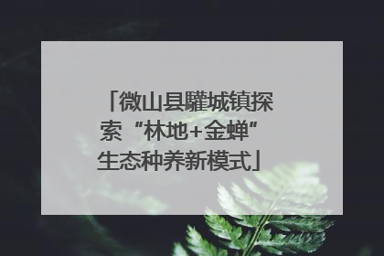 微山县驩城镇探索“林地+金蝉”生态种养新模式