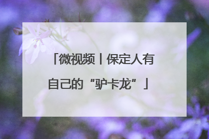 微视频丨保定人有自己的“驴卡龙”