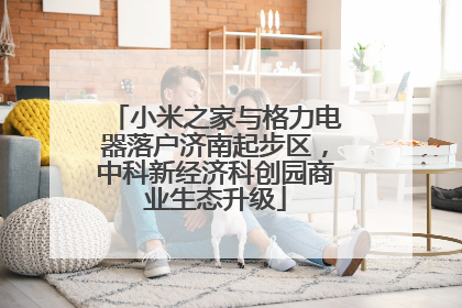 小米之家与格力电器落户济南起步区，中科新经济科创园商业生态升级