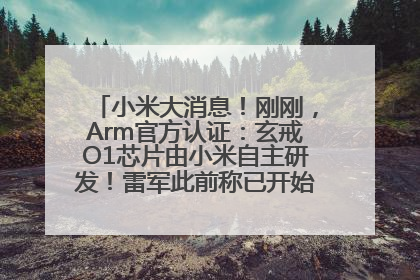 小米大消息！刚刚，Arm官方认证：玄戒O1芯片由小米自主研发！雷军此前称已开始大规模量产