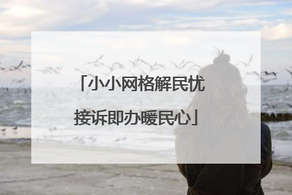 小小网格解民忧 接诉即办暖民心