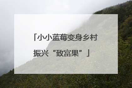 小小蓝莓变身乡村振兴“致富果”