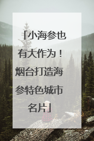 小海参也有大作为！烟台打造海参特色城市名片