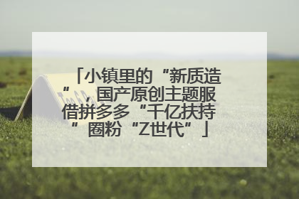 小镇里的“新质造”，国产原创主题服借拼多多“千亿扶持”圈粉“Z世代”