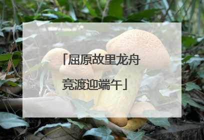 屈原故里龙舟竞渡迎端午