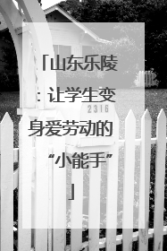 山东乐陵：让学生变身爱劳动的“小能手”