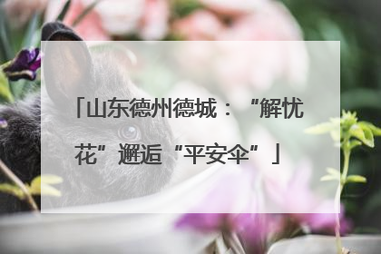 山东德州德城：“解忧花”邂逅“平安伞”