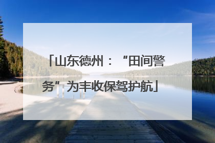 山东德州：“田间警务”为丰收保驾护航