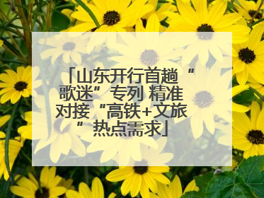 山东开行首趟“歌迷”专列 精准对接“高铁+文旅”热点需求
