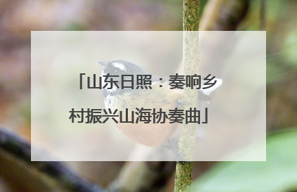 山东日照：奏响乡村振兴山海协奏曲