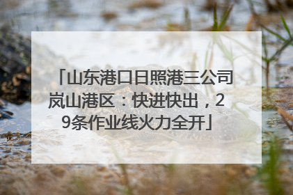 山东港口日照港三公司岚山港区：快进快出，29条作业线火力全开