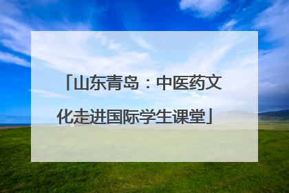山东青岛：中医药文化走进国际学生课堂