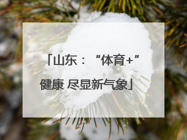 山东：“体育+”健康 尽显新气象
