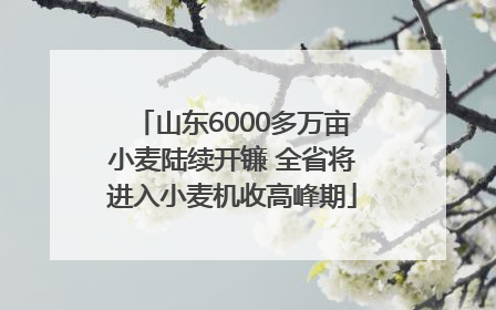 山东6000多万亩小麦陆续开镰 全省将进入小麦机收高峰期