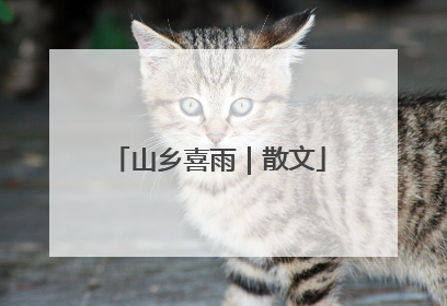 山乡喜雨｜散文