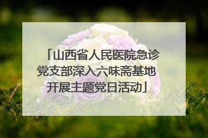 山西省人民医院急诊党支部深入六味斋基地开展主题党日活动