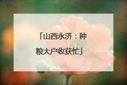 山西永济：种粮大户收获忙