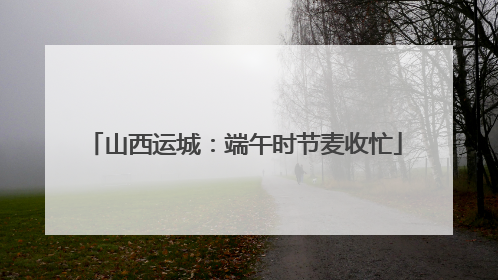 山西运城：端午时节麦收忙