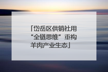 岱岳区供销社用“全链思维”重构羊肉产业生态