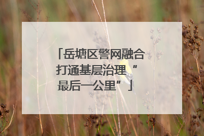 岳塘区警网融合 打通基层治理“最后一公里”