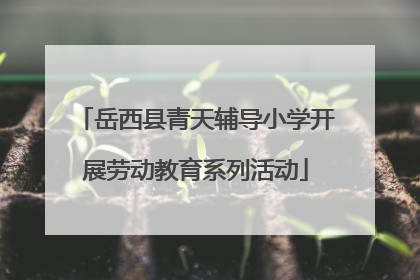 岳西县青天辅导小学开展劳动教育系列活动