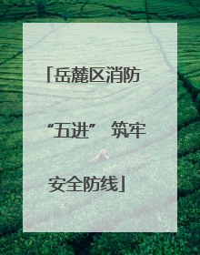 岳麓区消防 “五进” 筑牢安全防线