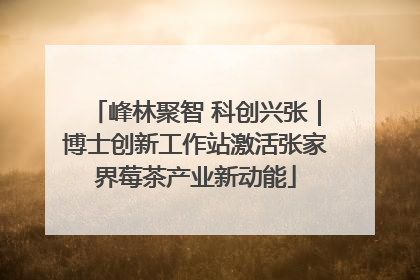 峰林聚智 科创兴张｜博士创新工作站激活张家界莓茶产业新动能