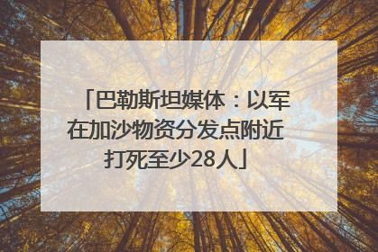 巴勒斯坦媒体：以军在加沙物资分发点附近打死至少28人