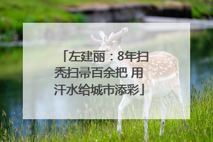 左建丽：8年扫秃扫帚百余把 用汗水给城市添彩