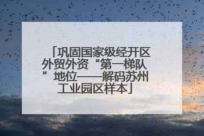 巩固国家级经开区外贸外资“第一梯队”地位——解码苏州工业园区样本