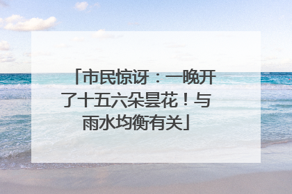 市民惊讶：一晚开了十五六朵昙花！与雨水均衡有关