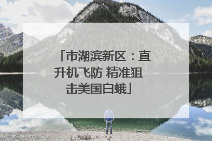 市湖滨新区：直升机飞防 精准狙击美国白蛾