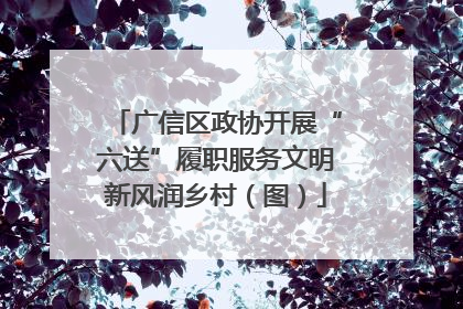 广信区政协开展“六送”履职服务文明新风润乡村（图）