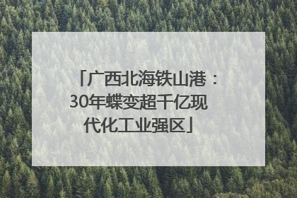 广西北海铁山港：30年蝶变超千亿现代化工业强区