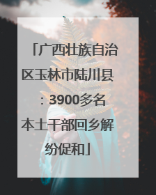 广西壮族自治区玉林市陆川县：3900多名本土干部回乡解纷促和